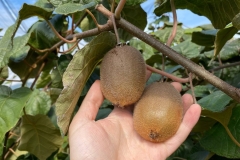 574270893_1135296562104365_7652200599527325353_n