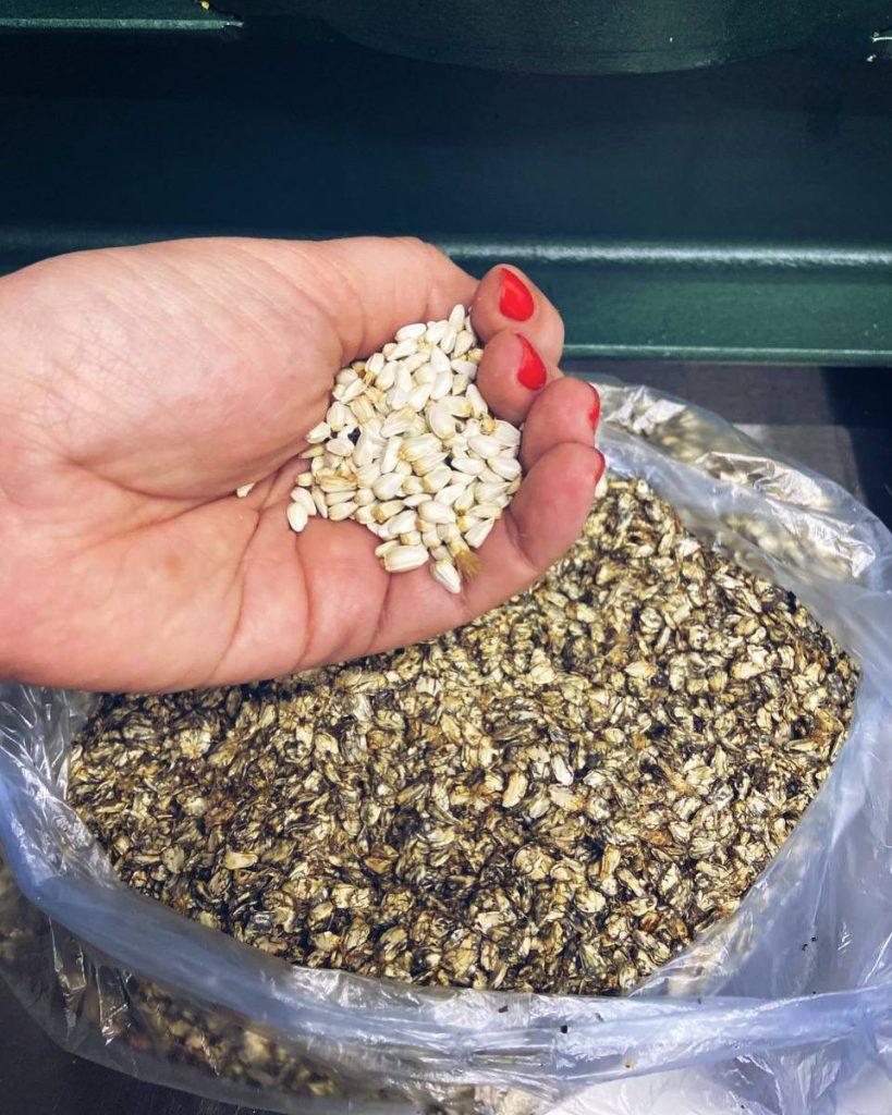 НАУКОВІ ДОСЛІДЖЕННЯ МОЛОДИХ ВЧЕНИХ