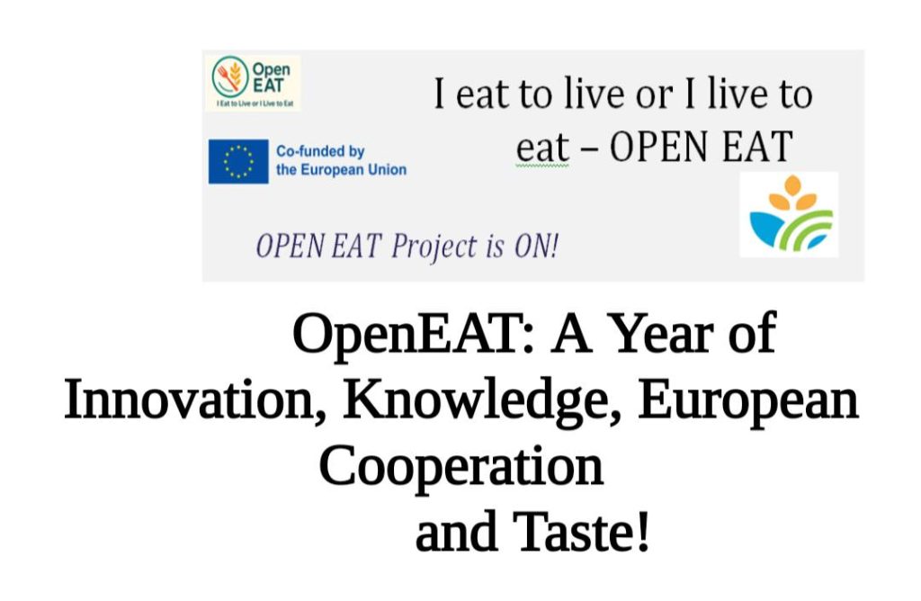 OpenEAT: рік інновацій, знань і європейської співпраці!