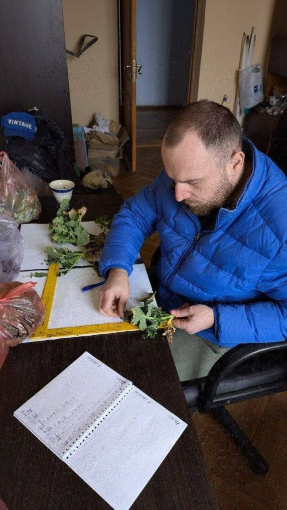 Ріпак у фокусі: польові дослідження аспіранта ІКОСГ НААН