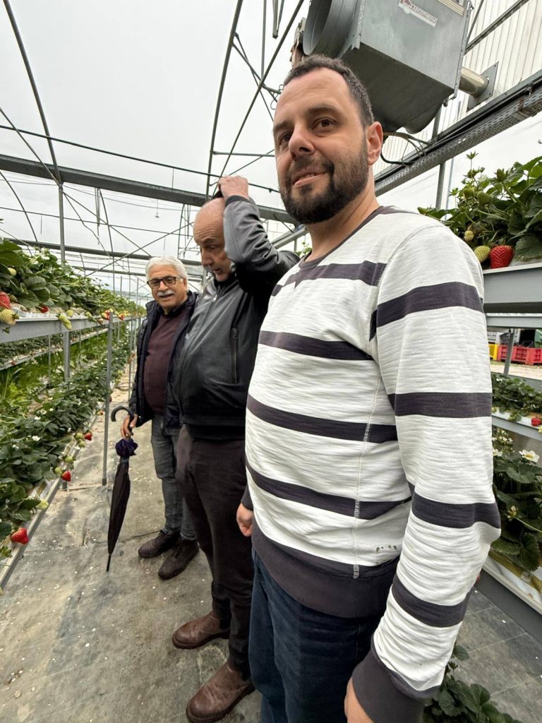 Ознайомлення з інноваційними технологіями вирощування полуниці в Італії