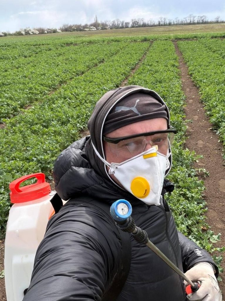 В ІКОСГ НААН продовжуються польові дослідження з ріпаком озимим